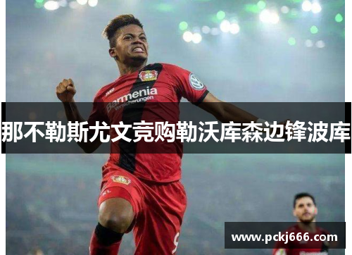 那不勒斯尤文竞购勒沃库森边锋波库